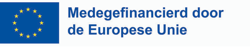 Logo van de Europese unie. Met daarbij de tekst 'Mede gefinancierd door de Europese Unie'.